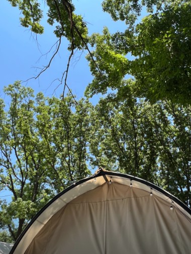 대구 글램핑로망 이미지 9