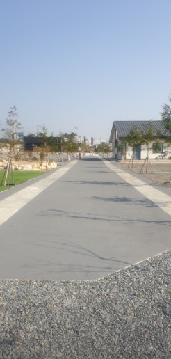 봄날처럼 이미지 5