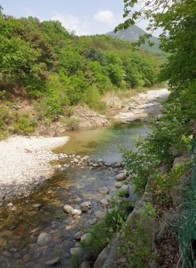 포천 도마치캠핑장 이미지 6