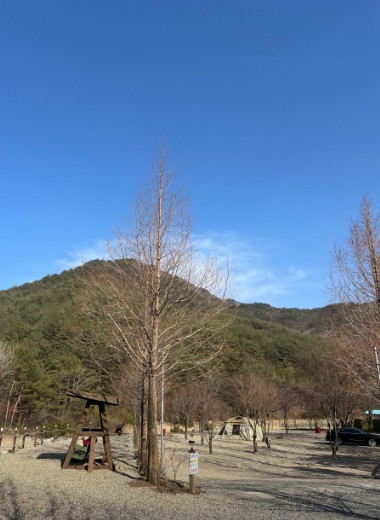 영월 자연이랑캠프 이미지 1