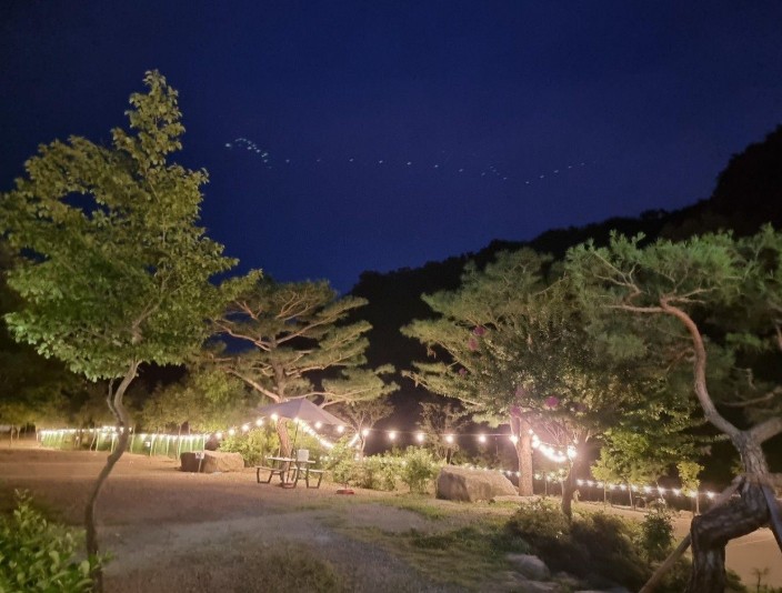 경주 라라캠핑장 이미지 6