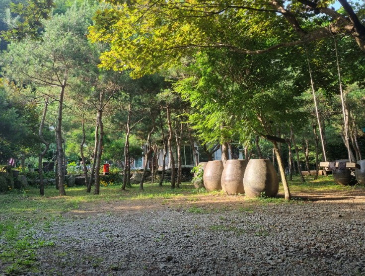 에코밸리오토캠핑장 이미지 6