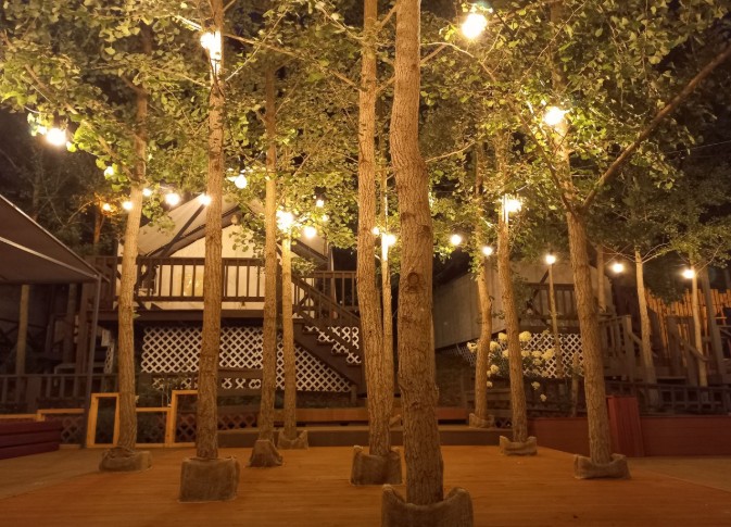 옐로우힐 이미지 5