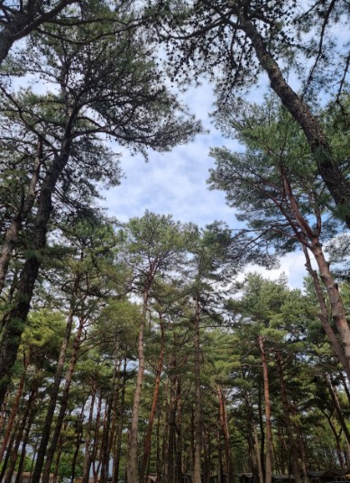 양양 바다캠핑장 이미지 5