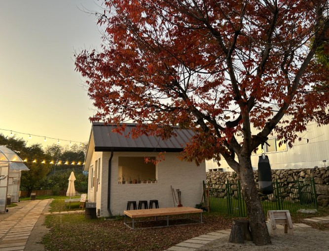 캄비오캠핑장 이미지 1