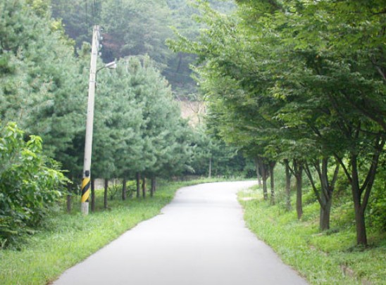 황새울관광농원오토캠핑장 이미지 7
