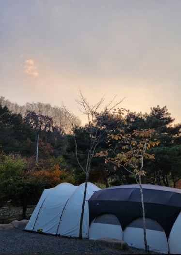 군위 솔밭야영장 이미지 7