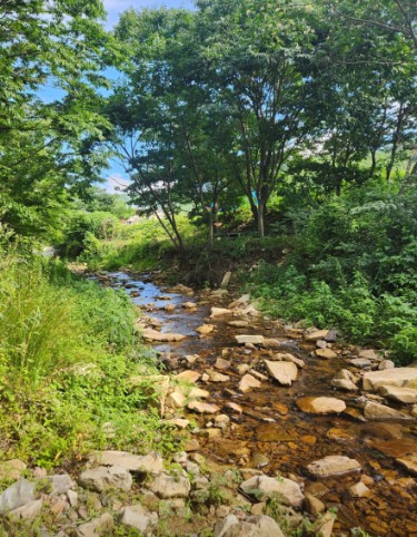 캠핑팜 이미지 7