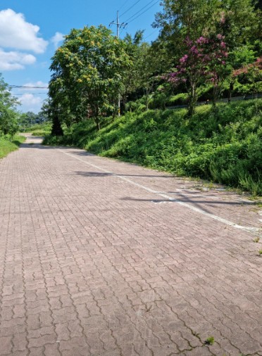 산디마을오토캠핑장 이미지 2