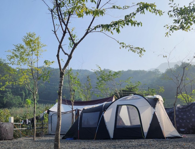 군위 솔밭야영장 이미지 1