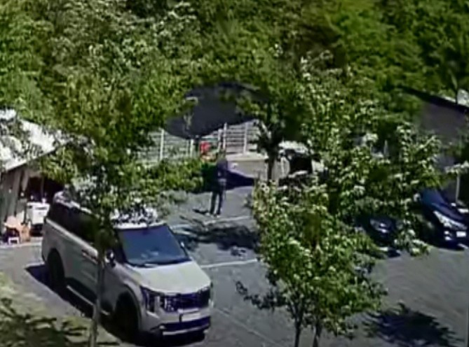 돌담캠핑장 이미지 1