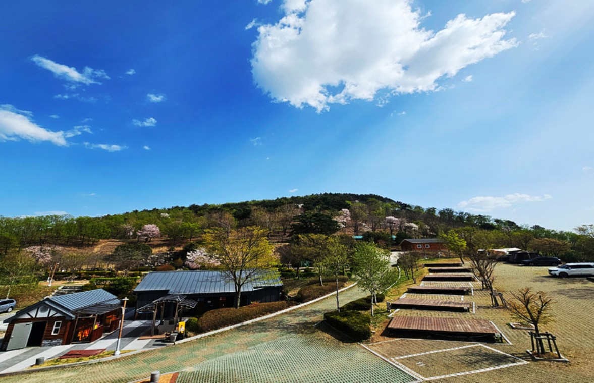 동강전망자연휴양림오토캠핑장 이미지 3