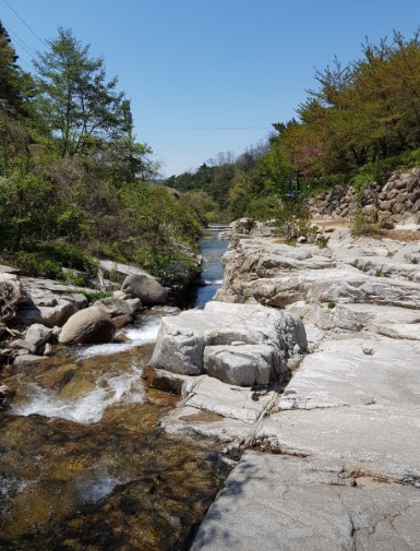 동산계곡펜션오토캠핑장 이미지 5
