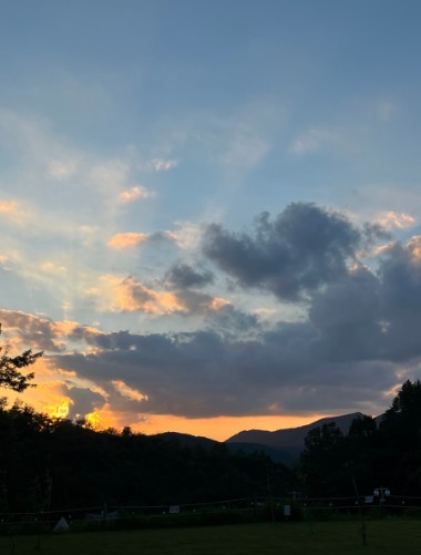 우드로더 이미지 9