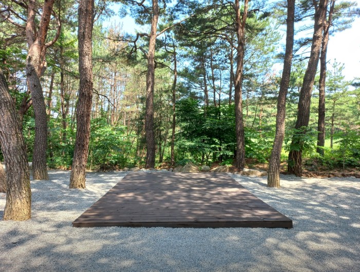 양양 솔바다 캠핑장 이미지 5