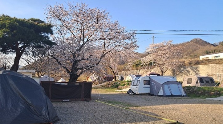 쿠키오토캠핑장 이미지 3