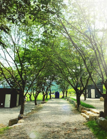 느티담길캠핑장 이미지 7