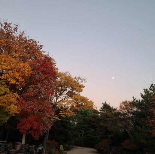 무릉관광농원 이미지 3