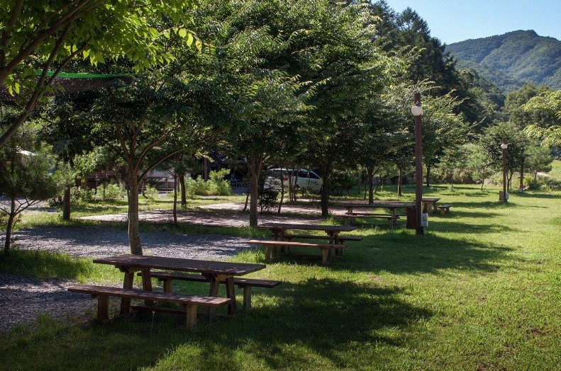 영월 법흥계곡 꿈엔들캠프 캠핑 글램핑 이미지 2