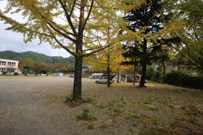쿠키오토캠핑장 이미지 2