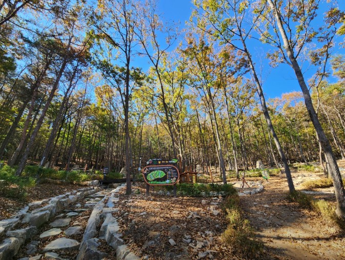 성북동숲속야영장 이미지 4