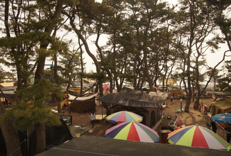 경주 관성해수욕장 솔밭캠핑장 이미지 5