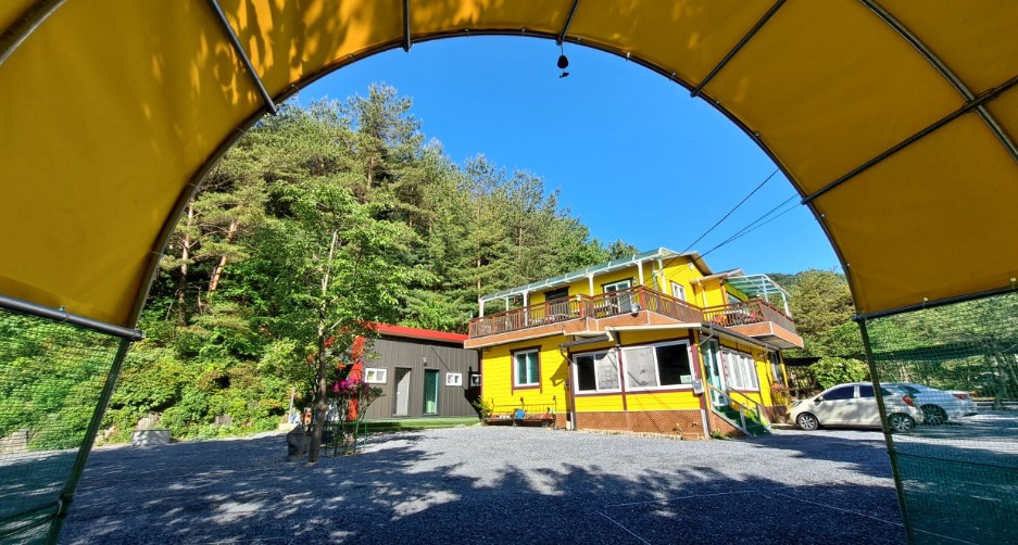 영월 법흥계곡 숲속의 아침 오토캠핑 이미지 1