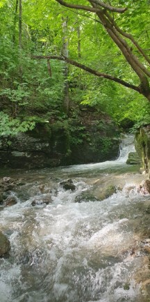 사가록캠핑장 이미지 1