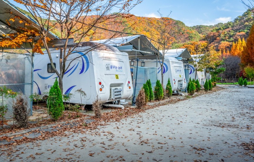 대전 꿈꾸는 농부 캠핑장 이미지 9