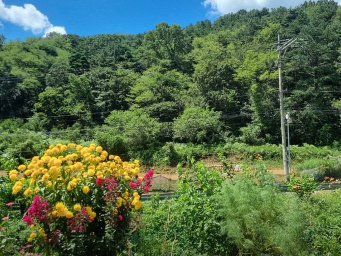 대구 풍경캠핑장 이미지 1