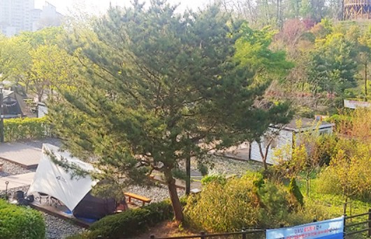 강동그린웨이 가족캠핑장 이미지 2