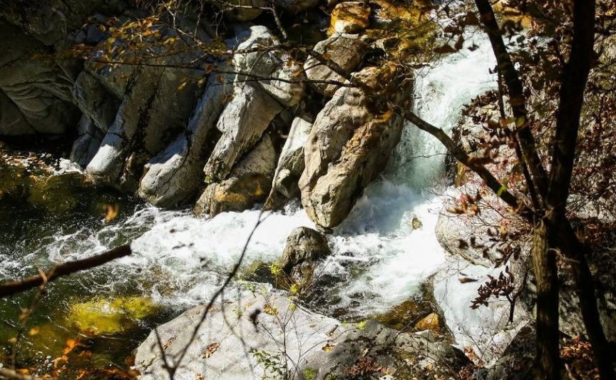 가리왕산자연휴양림오토캠프장 이미지 3