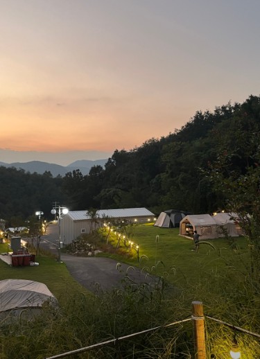 우드로더 이미지 4