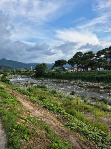 대구 솔담길 오토캠핑장 이미지 8