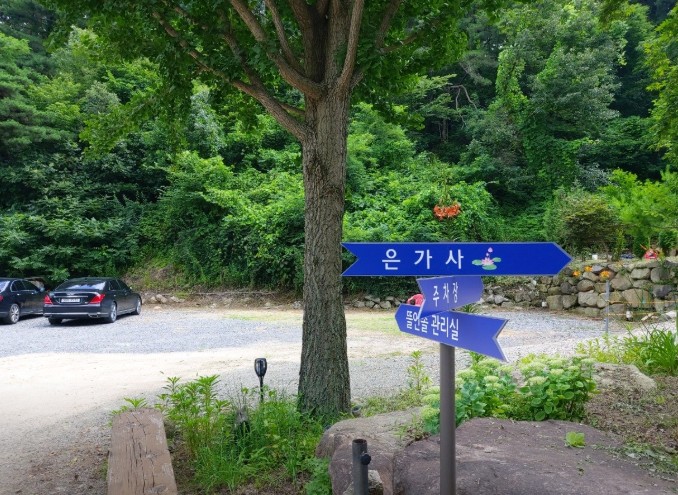 대구 바람숲 야영장 이미지 3