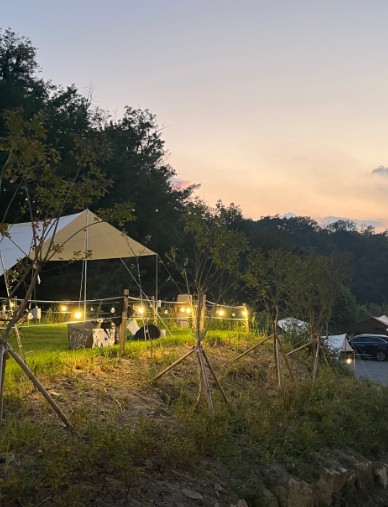 우드로더 이미지 7