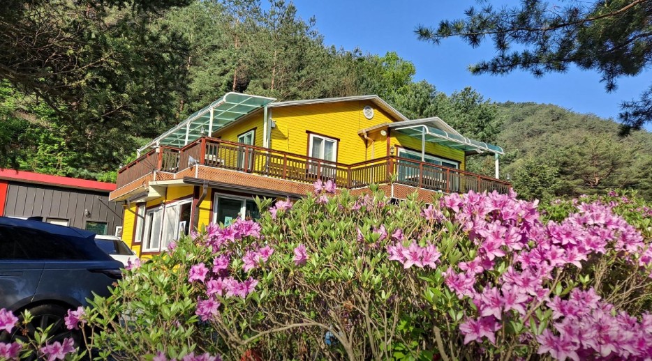 영월 법흥계곡 숲속의 아침 오토캠핑 이미지 5