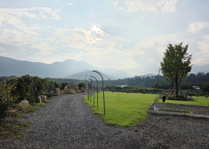 대구 한밤터 이미지 7