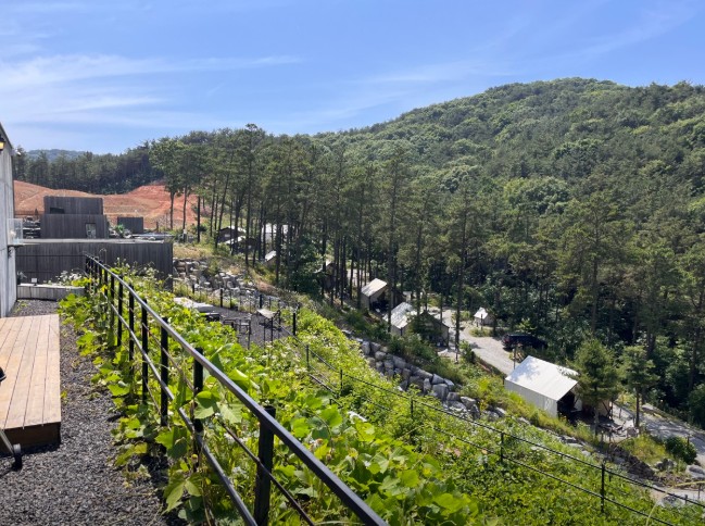 인천 블랙트리캠핑 이미지 3