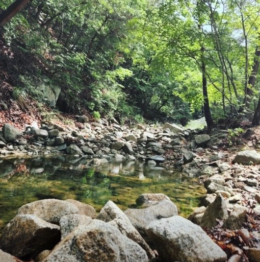 용화산테마파크캠핑장 이미지 2