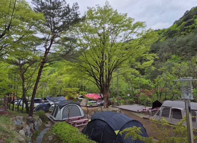 청평사국민여가캠핑장 이미지 4