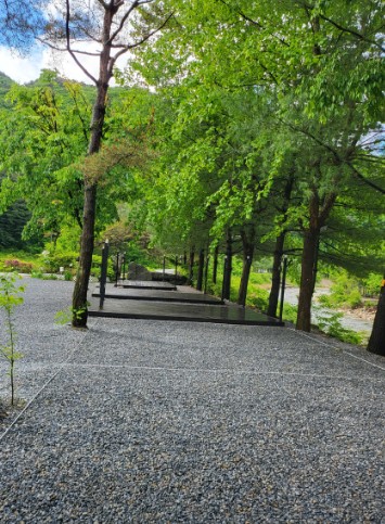 영월 스카이 펜션&캠핑장 이미지 4