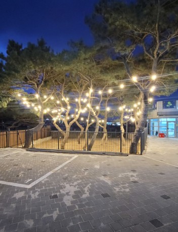 을왕리 솔트 캠핑장 이미지 4