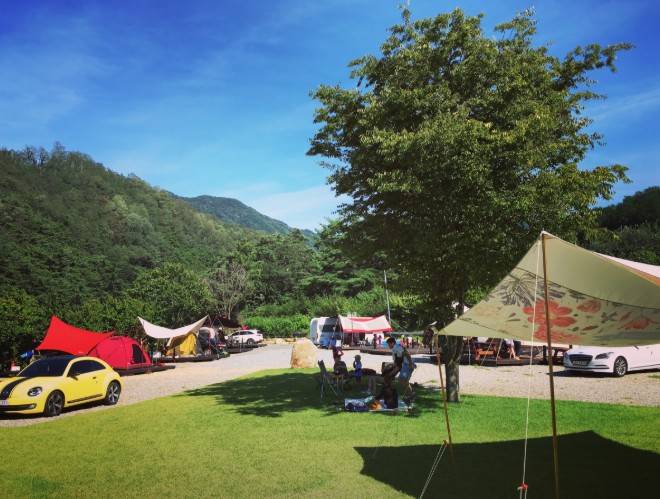 대구 아날로그데이 이미지 1