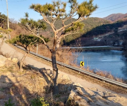 캠핑 유유자적 이미지 4