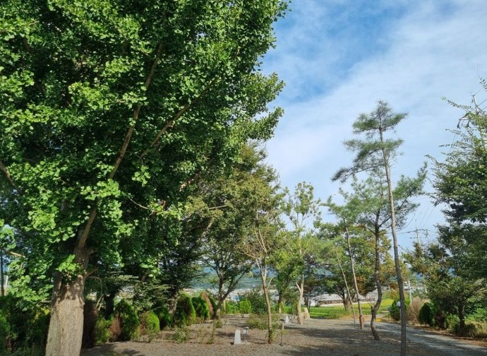 아름드리 캠핑장 이미지 1