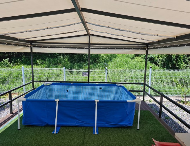 하월 오토캠핑장 이미지 2