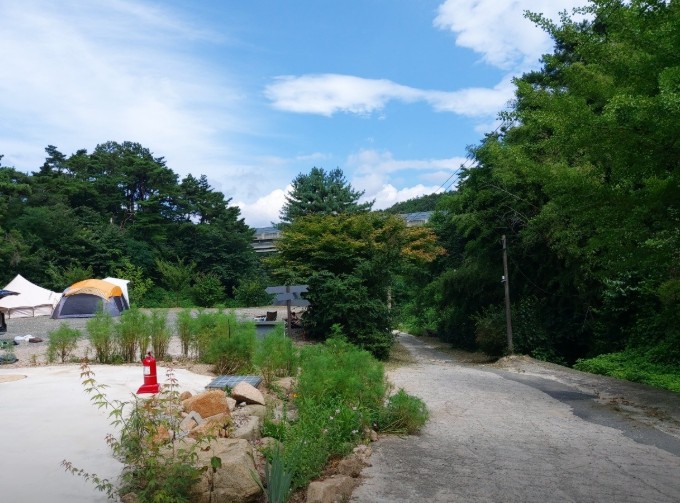 대구 바람숲 야영장 이미지 6