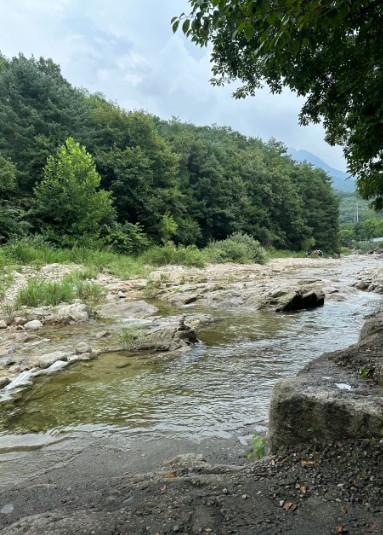 포천 도마치캠핑장 이미지 2