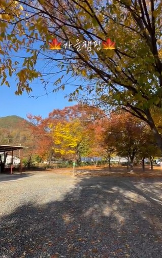 경주 트리팜캠프 이미지 3
